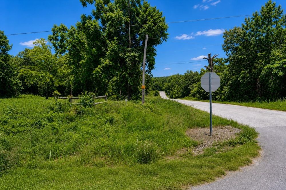 Secondary listing image for the Cherokee Village Arkansas vacant land parcel