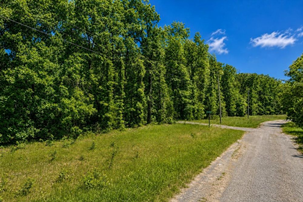 Supporting property image for the Cherokee Village, Arkansas vacant land listing