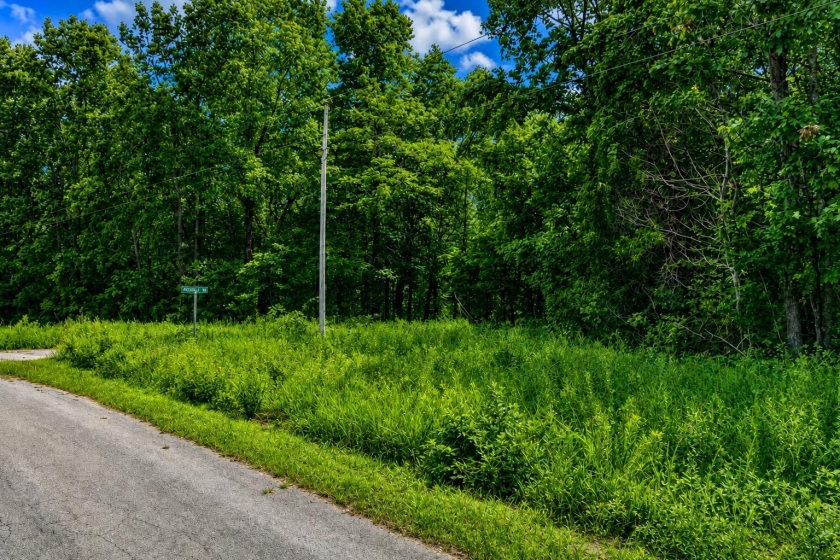 Cherokee Village Arkansas Land for Sale: 0.41 Acres with $838 Cash Price