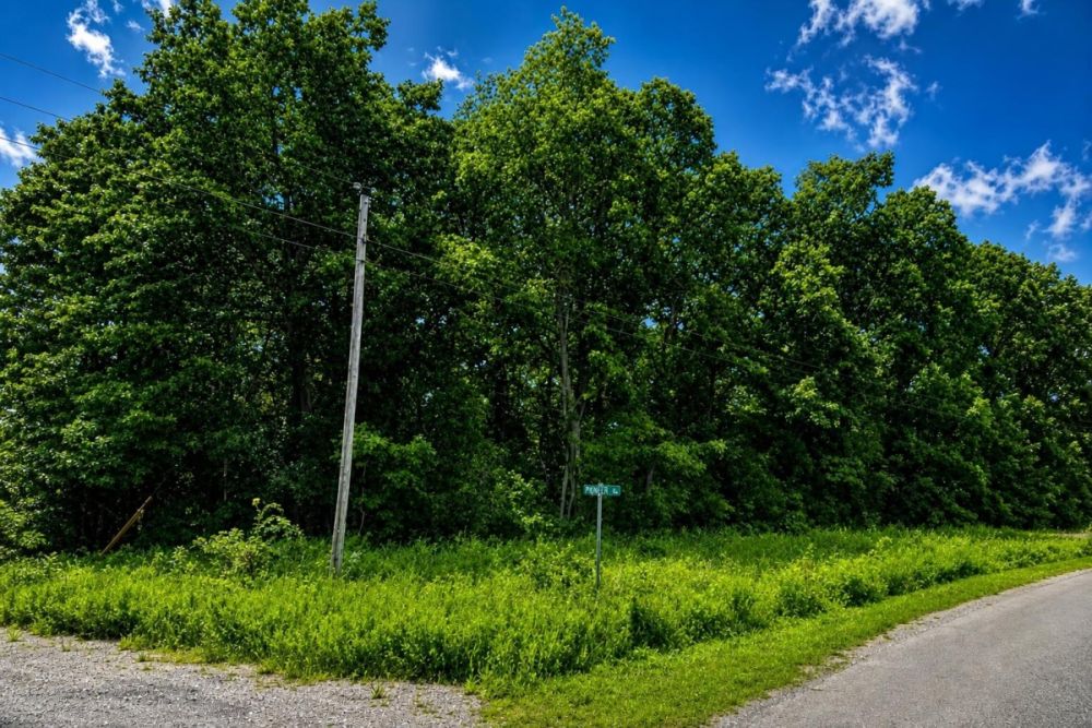 Listing image for Cherokee Village Arkansas land parcel LC25683