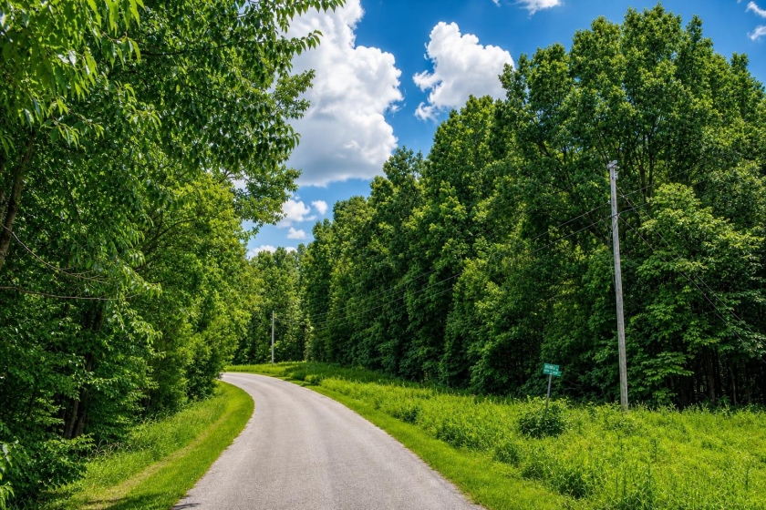Cherokee Village Arkansas Land for Sale: 0.39 Acres on Morache Circle for $799