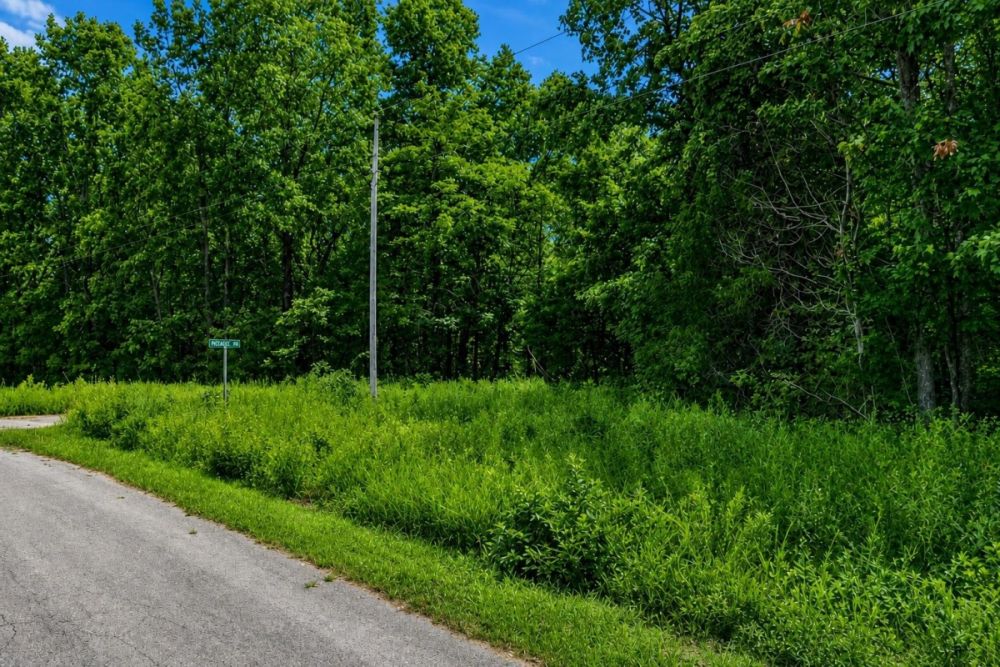 Cherokee Village Arkansas land listing image for the Morache Circle parcel