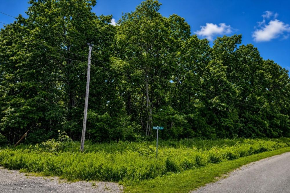Additional listing image for a Cherokee Village Arkansas vacant lot