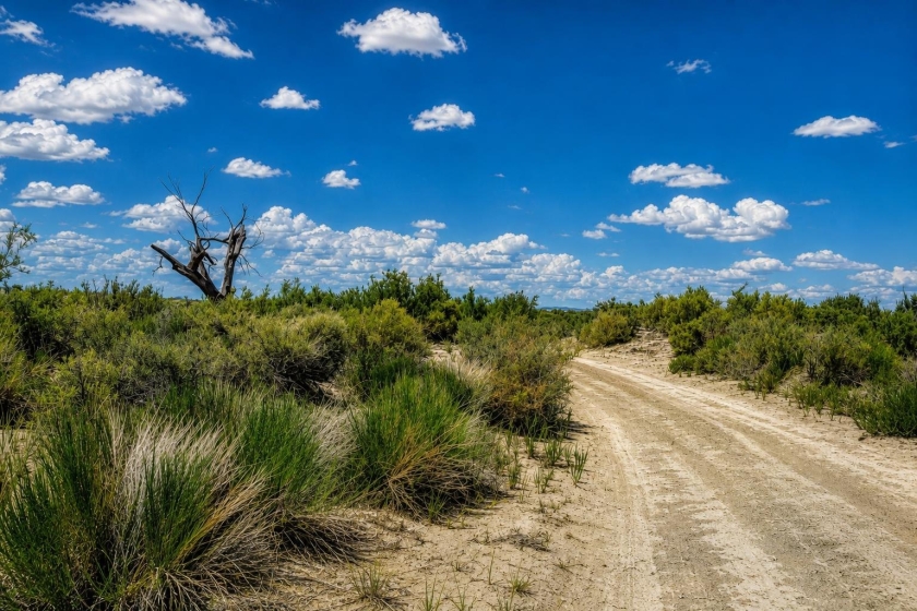 Fallon (Owner Finance for $1,399.00 a month) No Credit Check, NV Land for Sale: 640 Acres with Owner Financing
