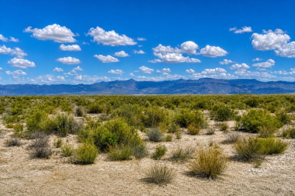 Listing image for owner-finance land in Churchill County, Nevada
