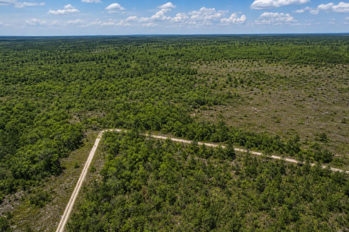 Interlachen, FL Land for Sale: 0.43 Acres with Owner Financing