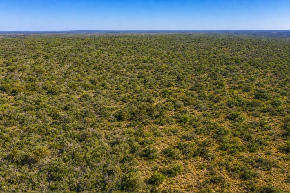 Listing image for the 0.84-acre Citra, Florida land parcel