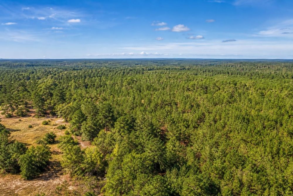 Property image for the 0.46-acre lot at 122 Edgehill Road in Satsuma, Florida