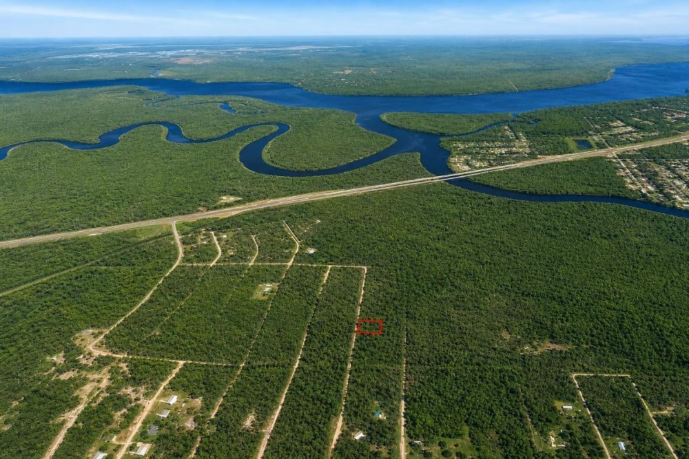 Additional property image for the Satsuma, Florida land listing