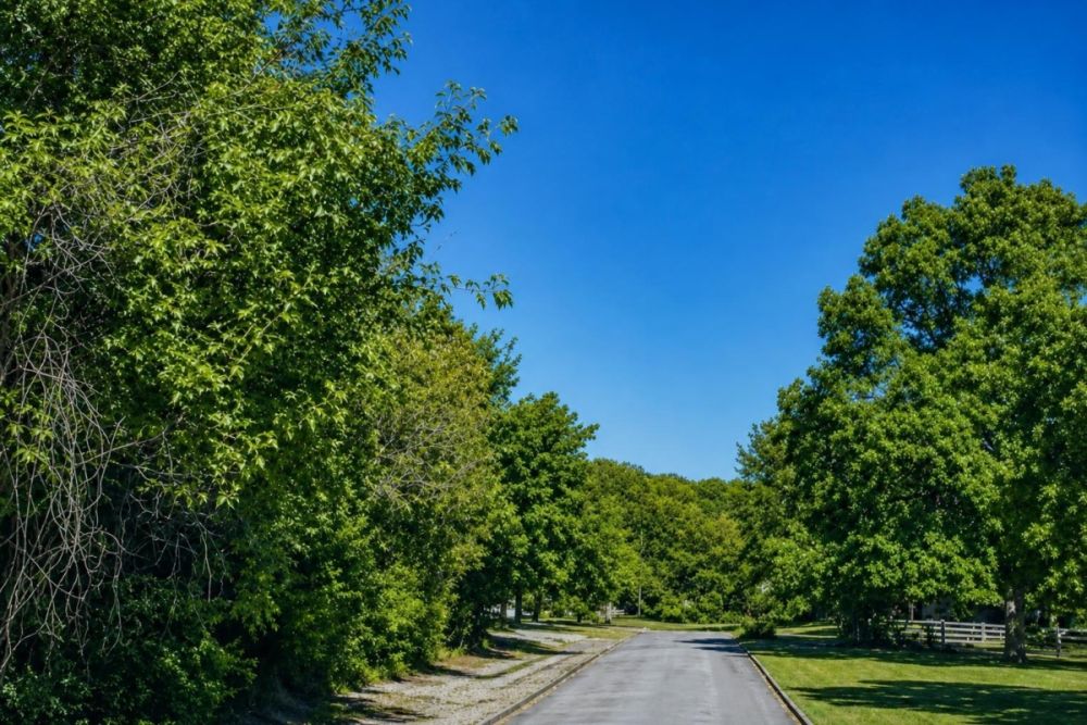 Secondary listing image for Parcel 4300-15204-0000 in Fairfield Bay