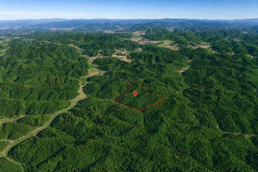 Salyersville, KY Land for Sale: 113 Acres with Paved Road Access