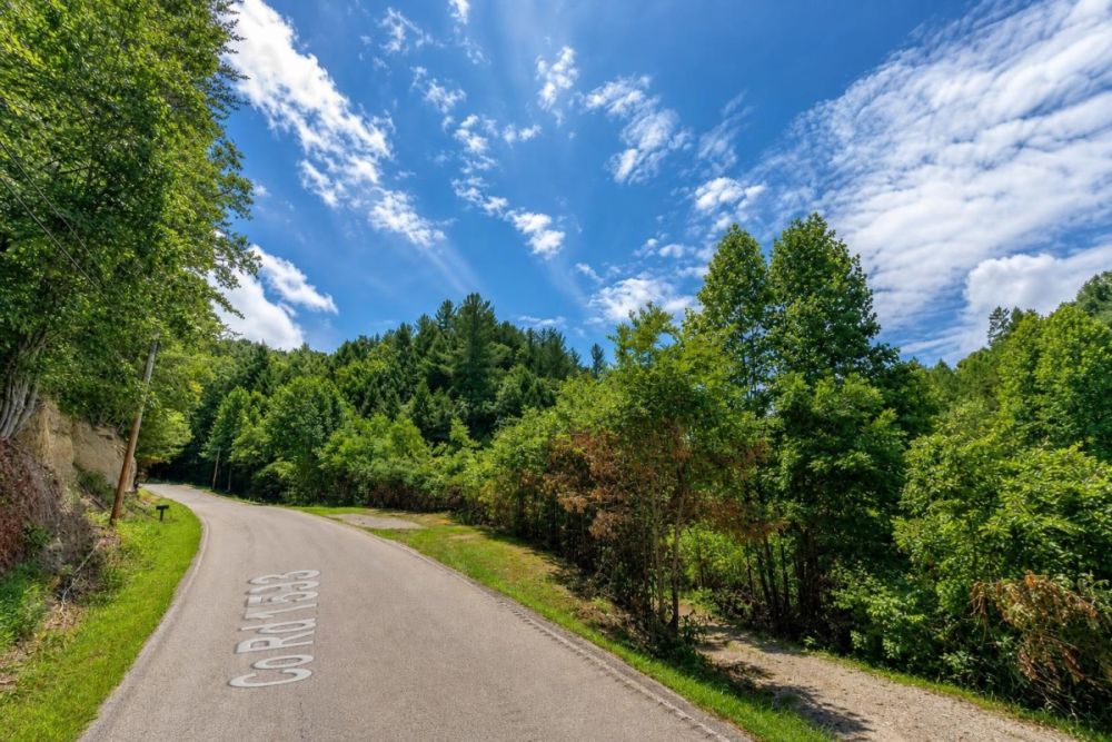 Listing image associated with 113 acres in Salyersville, Kentucky