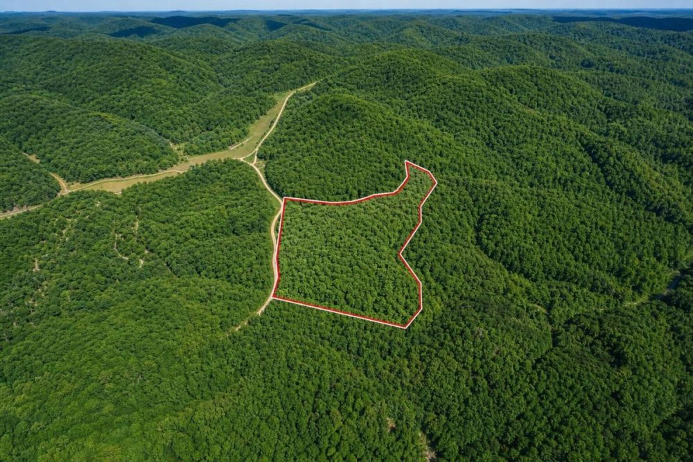 Additional listing image for the Keeton Br land parcel in Salyersville