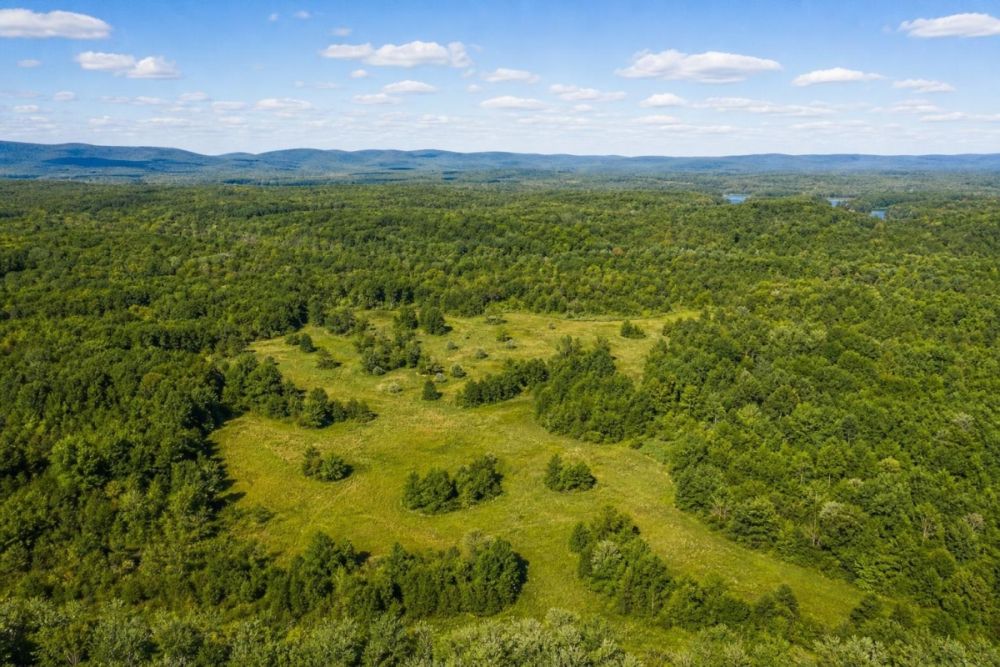 Listing image for the 0.42-acre Horseshoe Bend, Arkansas residential lot