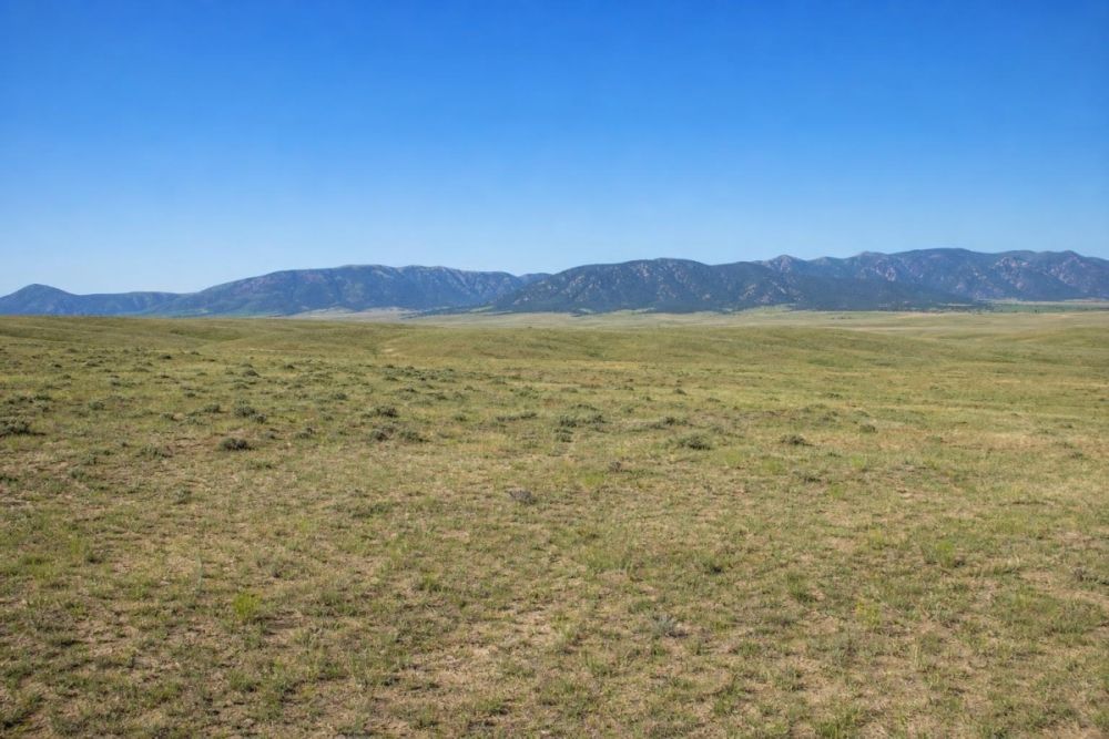 Additional listing image associated with parcel 71550120 in Costilla County, Colorado