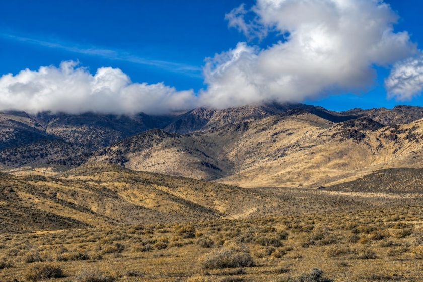 Lovelock (Owner Finance -No Credit Check $1,300.00 a month!), NV Land for Sale: 241 Acres with Owner Financing