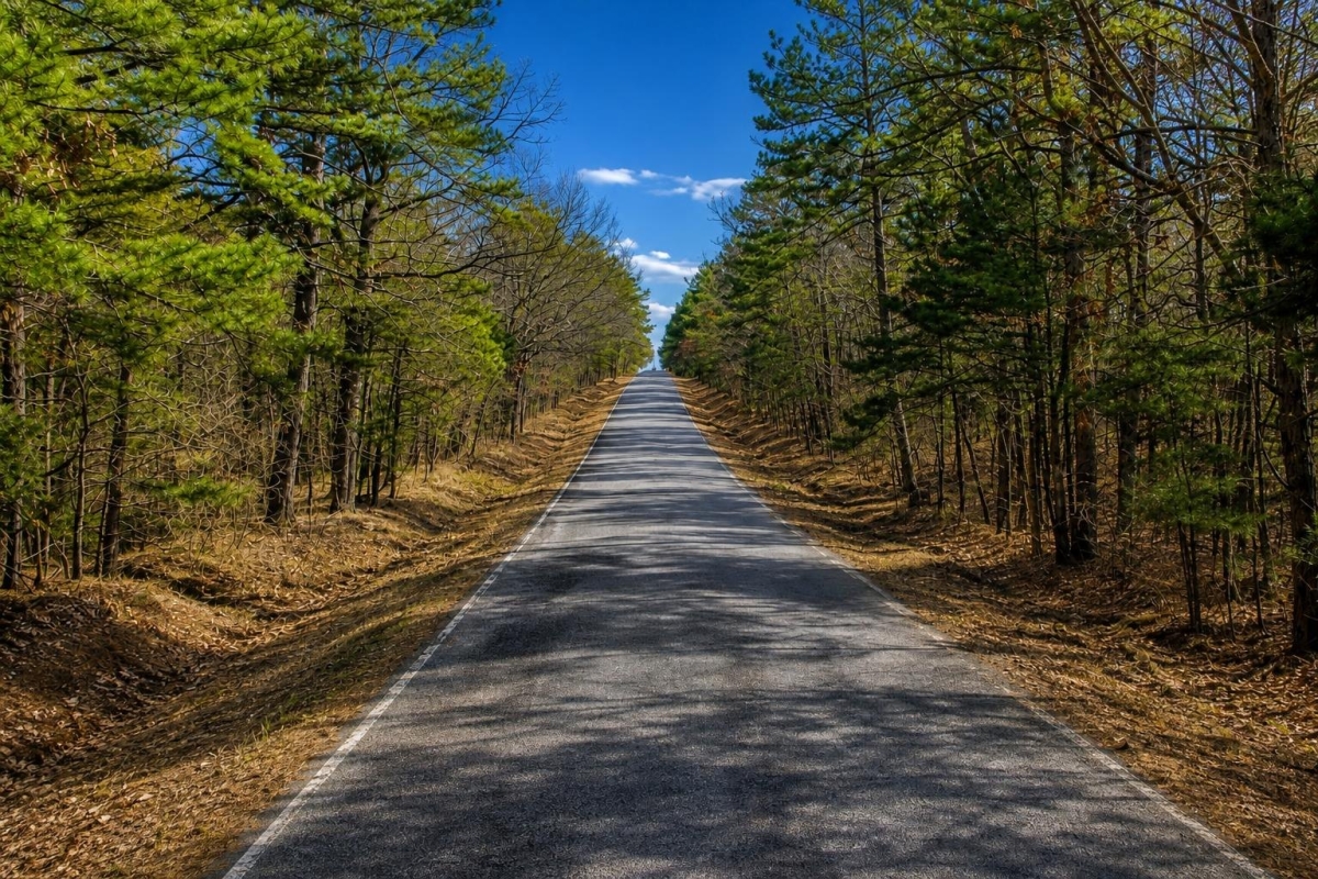 Shirley, AR Land for Sale: 0.28 Acres with Paved Access & City Utilities