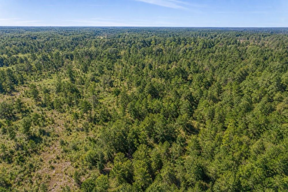 Listing image for the 0.67-acre Jacksonville, Florida land parcel LC24450