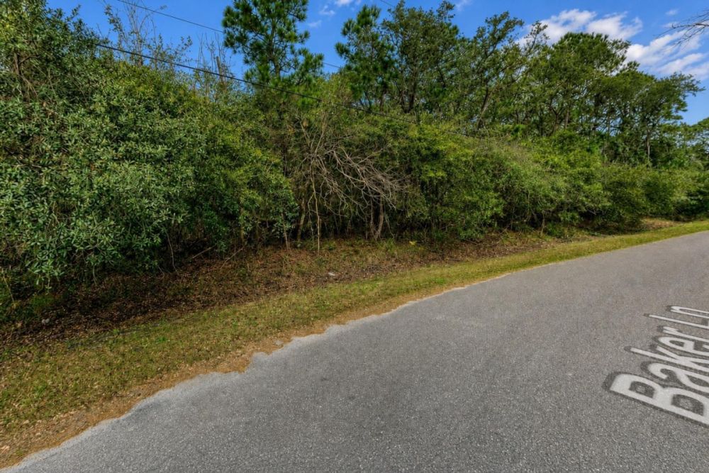 Additional listing image for the Jacksonville, Florida vacant land parcel