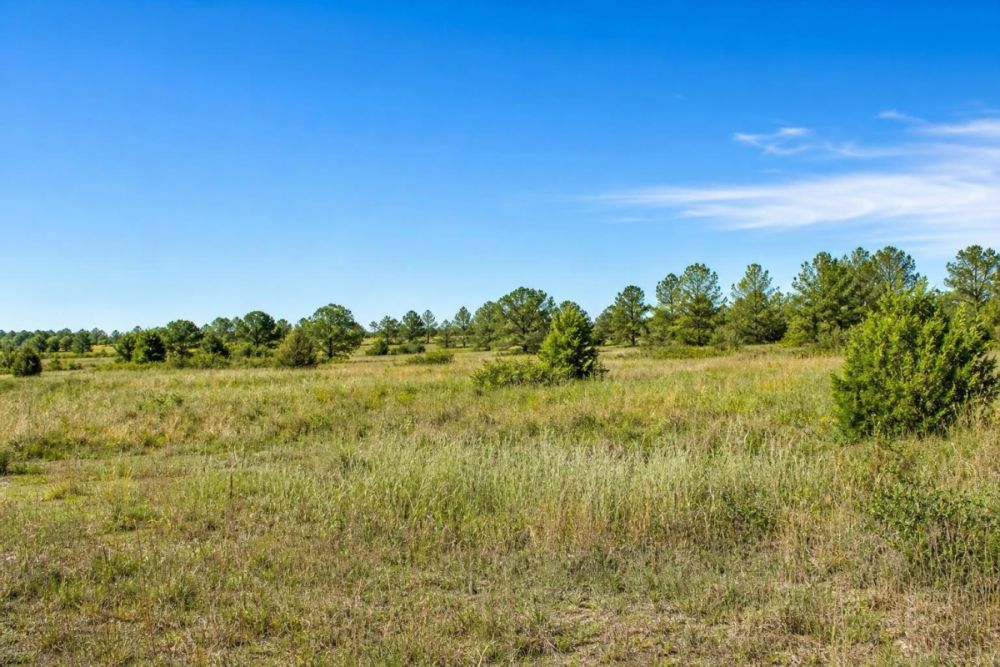 Additional supplied listing image for the Frostproof, Polk County land listing