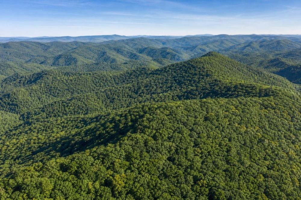 Listing image for LC24386, a 0.36-acre land parcel in Clayton, Georgia