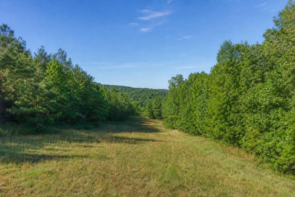 Additional listing image for Parcel 052A 506 in Rabun County, Georgia
