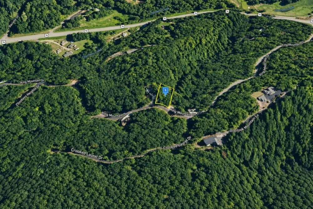 Listing image for LC24385, a 0.32-acre land parcel in Clayton, Georgia