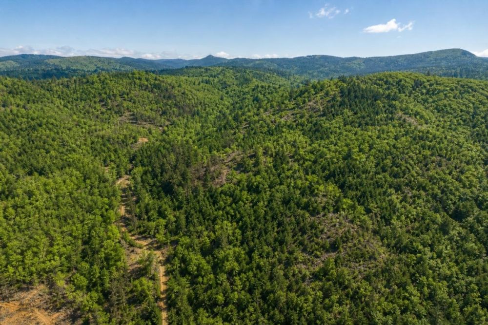 Supporting listing image for parcel 052A-523 in Rabun County, Georgia