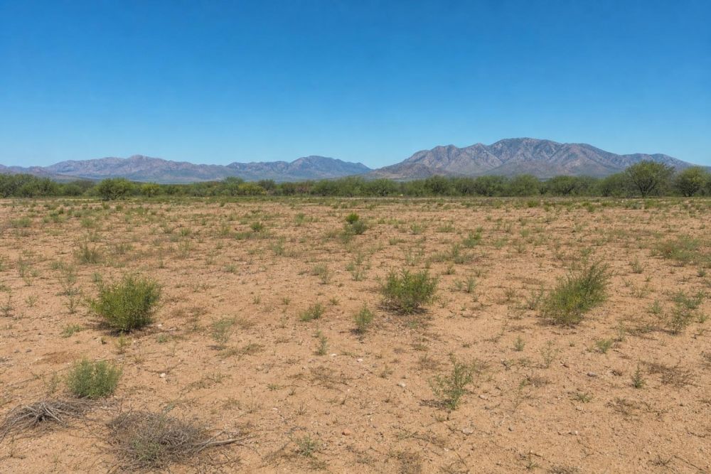 Additional listing image for Blythe CA acreage