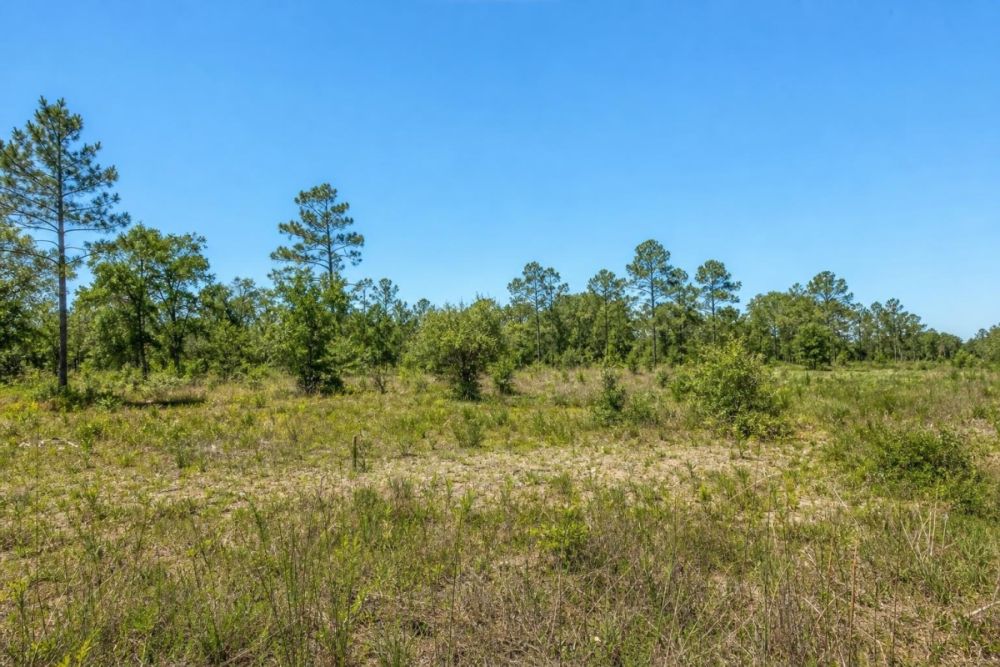 Listing image for the 0.08-acre residential lot at 5645 Van Doren Avenue in New Port Richey, Florida