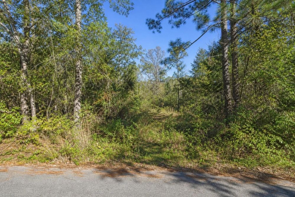 Additional listing image for the 7193 Pembroke Street land parcel