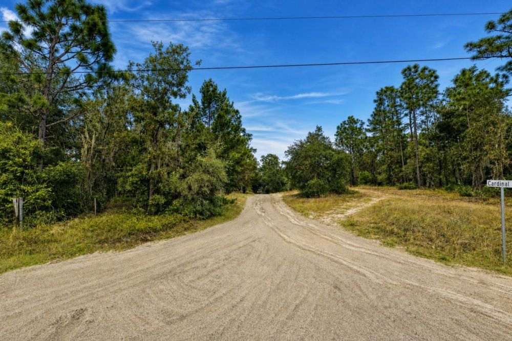 Listing image for the 0.17-acre Florahome, Florida parcel on Centerwood Road