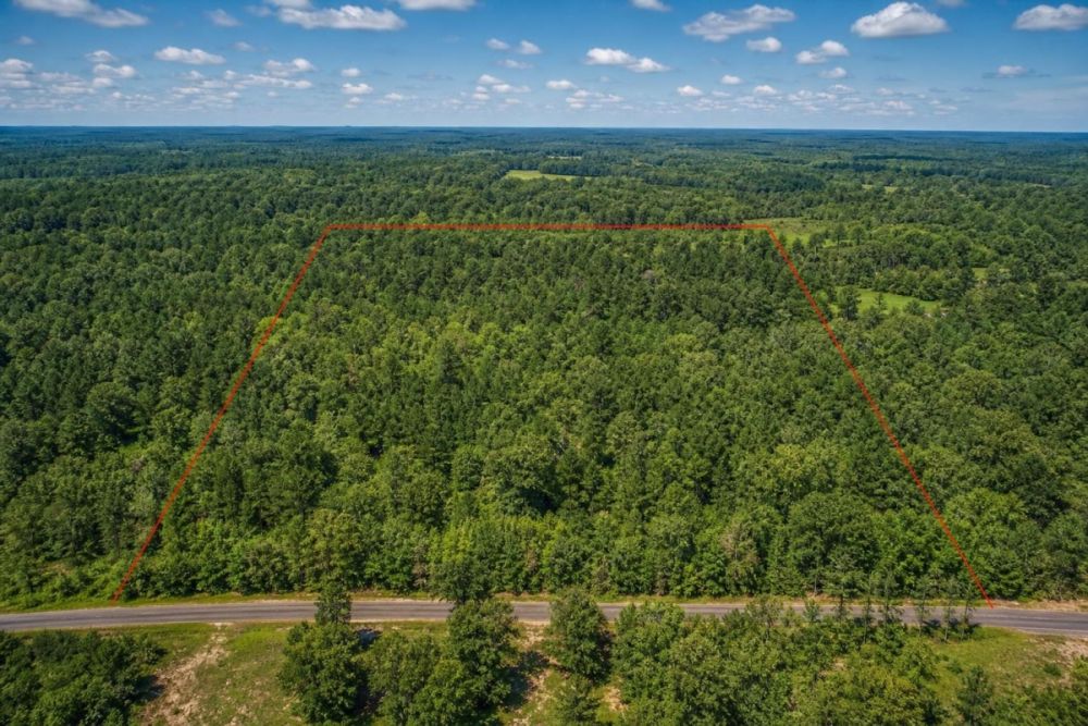 Additional listing image for the Centerwood Road land parcel in Florahome, Florida