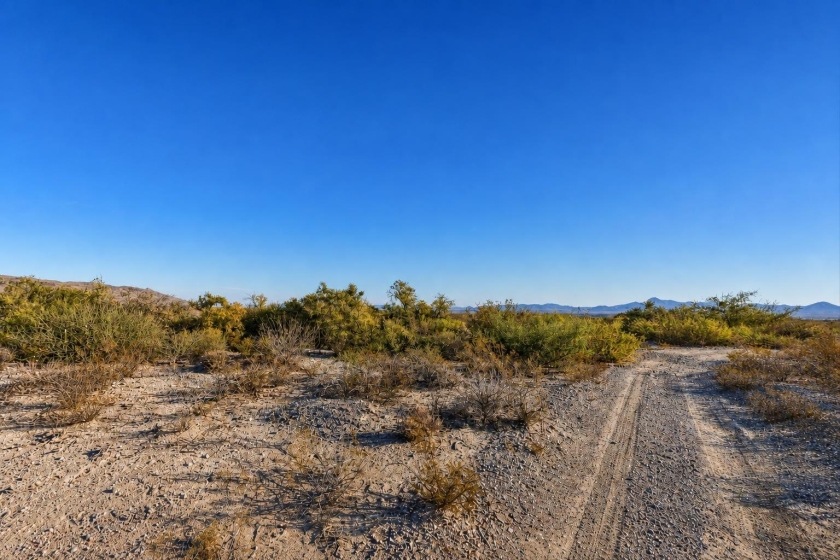 Scotts Crossing, TX Land for Sale: 10 Acres with Dirt Road