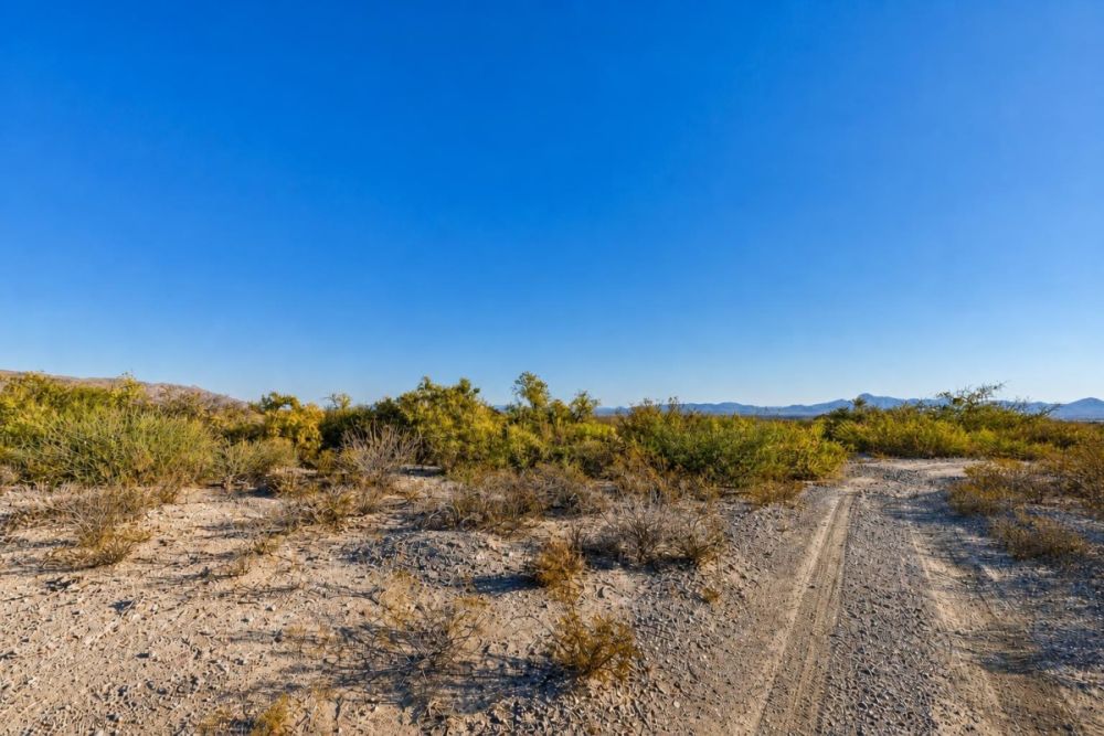 Additional listing image for the 10-acre Scotts Crossing, Texas land parcel