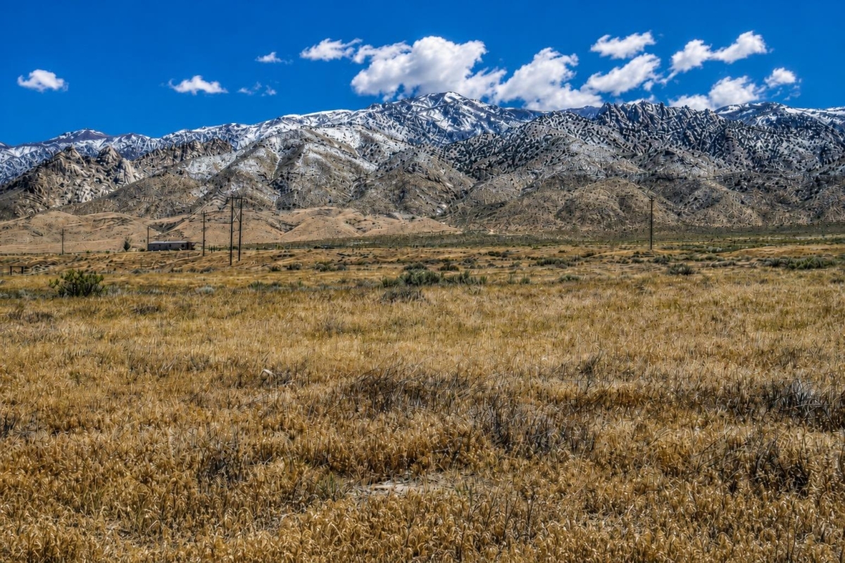 Lovelock -Owner Financing Deal ( Commercial & Residential Opportunity), NV Land for Sale: 240 Acres with Utilities