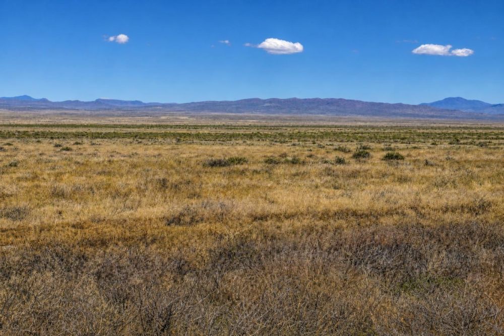 Rendered listing image for 240-acre land near Lovelock, Nevada
