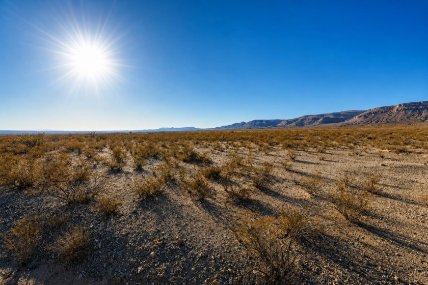 Scotts Crossing, TX Land for Sale: 20 Acres with Dirt Road