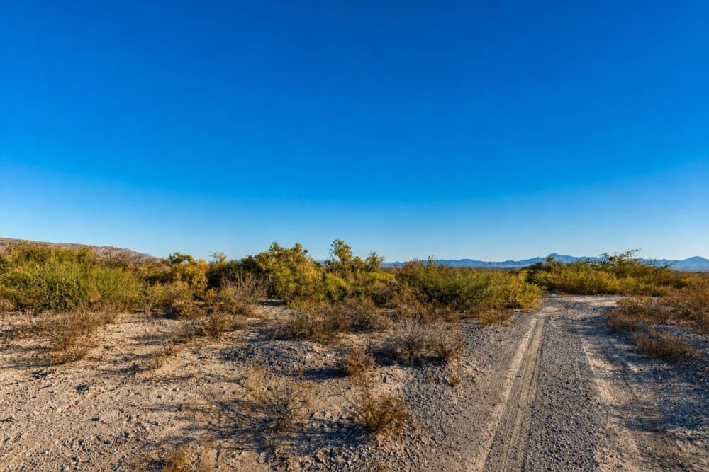 Listing image for the Scotts Crossing Texas land parcel, LC25868