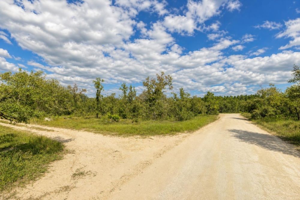 Property image for the 0.5-acre land listing in Bronson, Florida