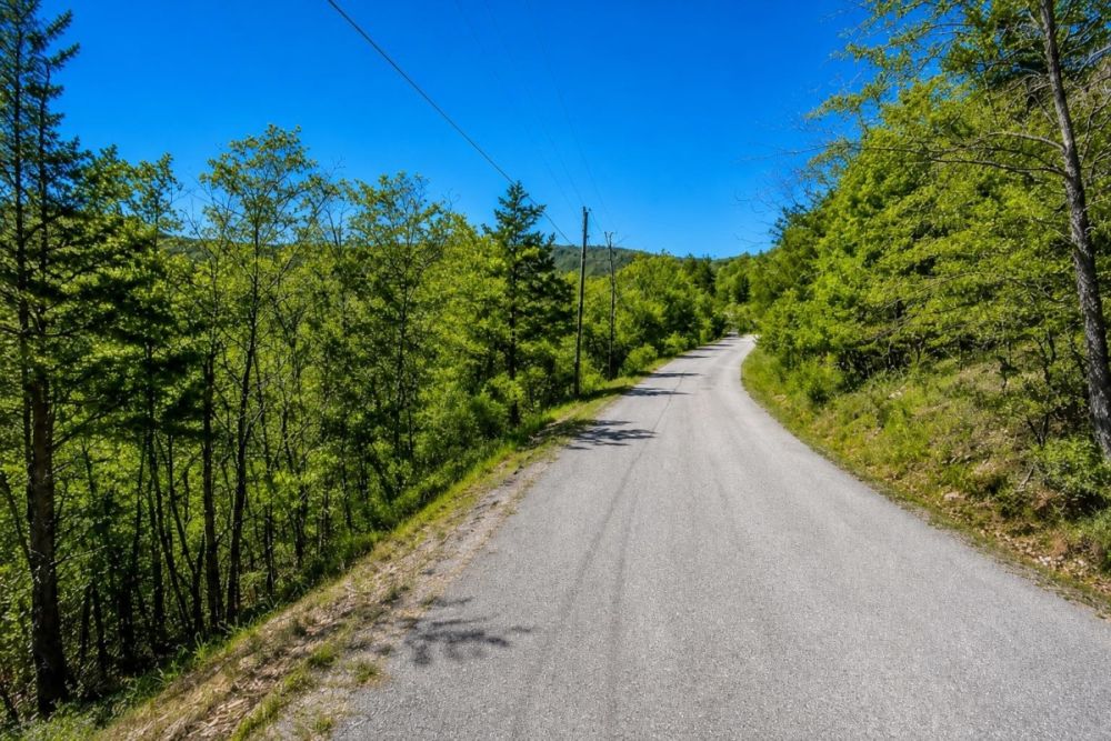 Apache Drive view for the Holiday Island Arkansas lot
