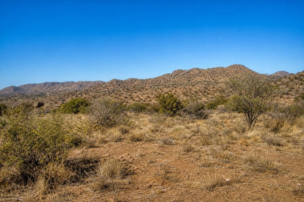 Property image for 1.25 acres in California City, California