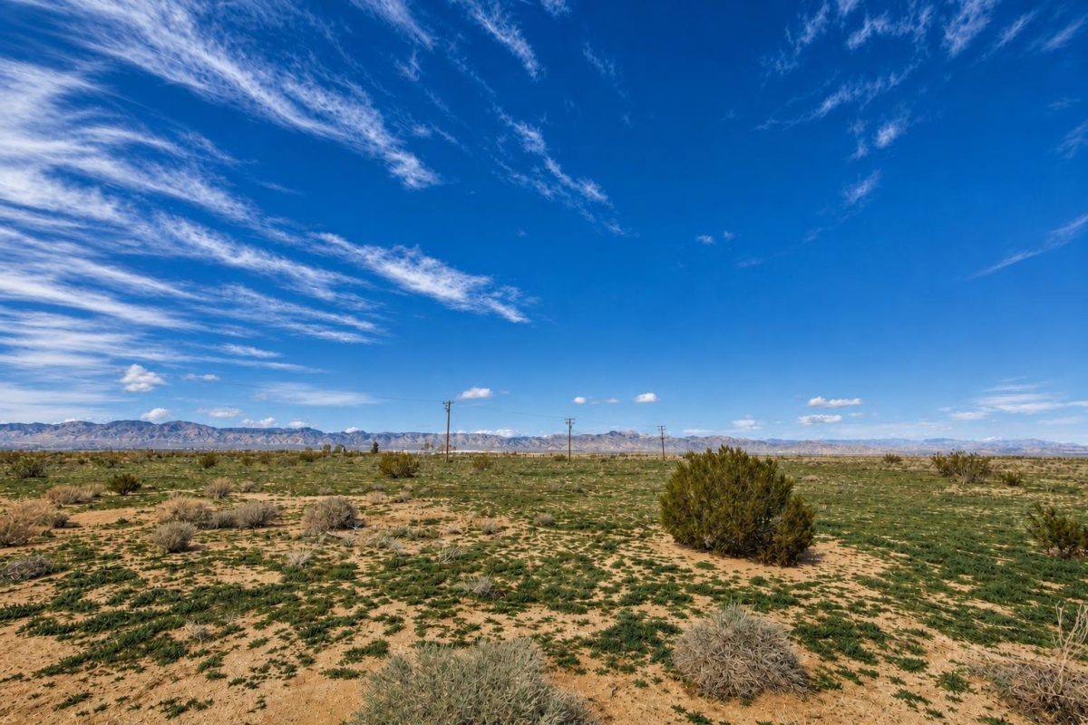 California City, CA Land for Sale: 0.257 Acres with Dirt Road