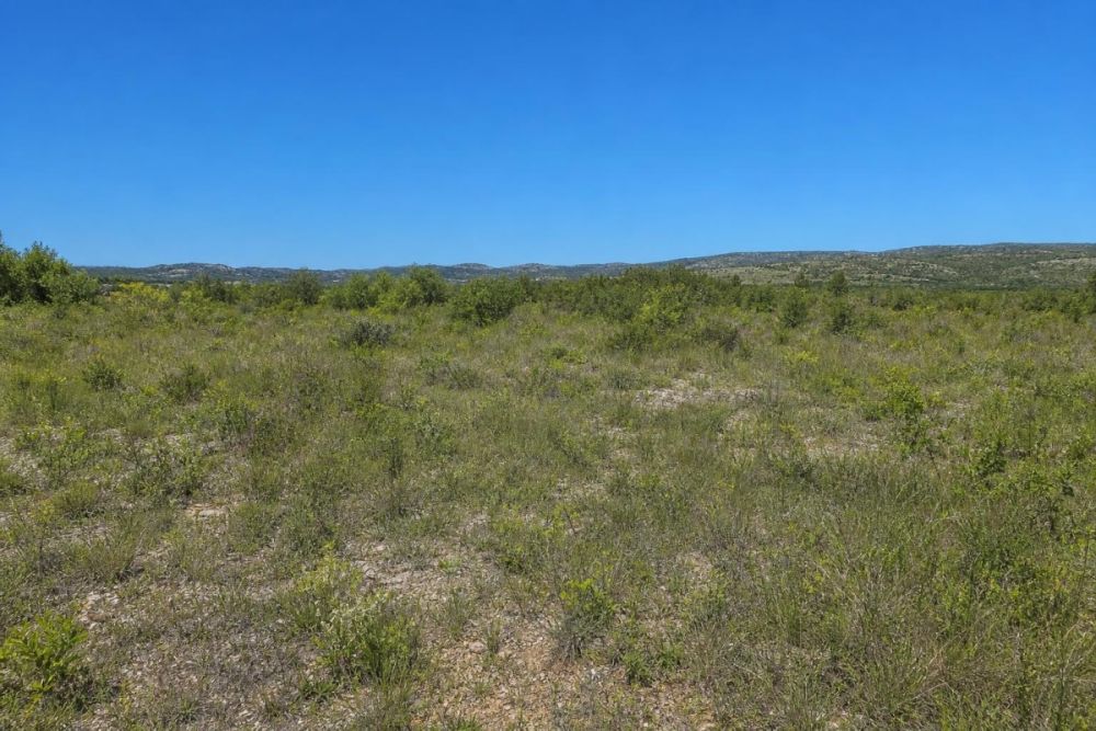 Supporting listing image for California City vacant land