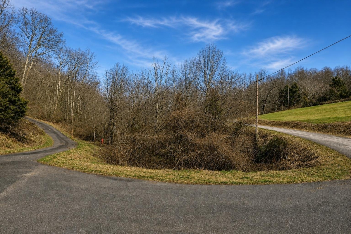 Jonesville, VA Land for Sale: 9.24 Acres with Paved Access & City Utilities
