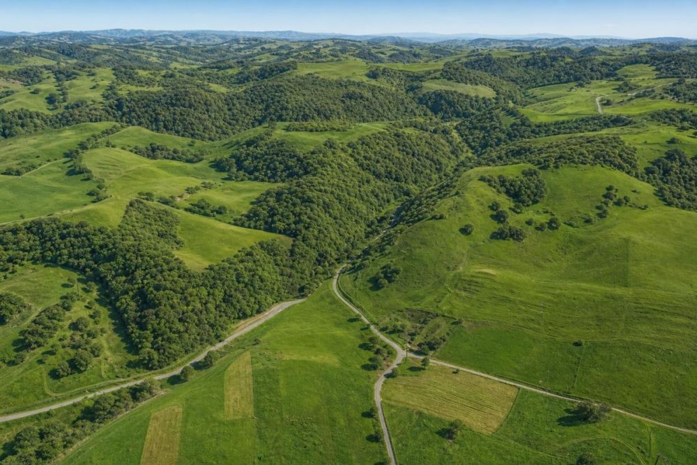 Listing image for the 9.24-acre Jonesville, Virginia land parcel
