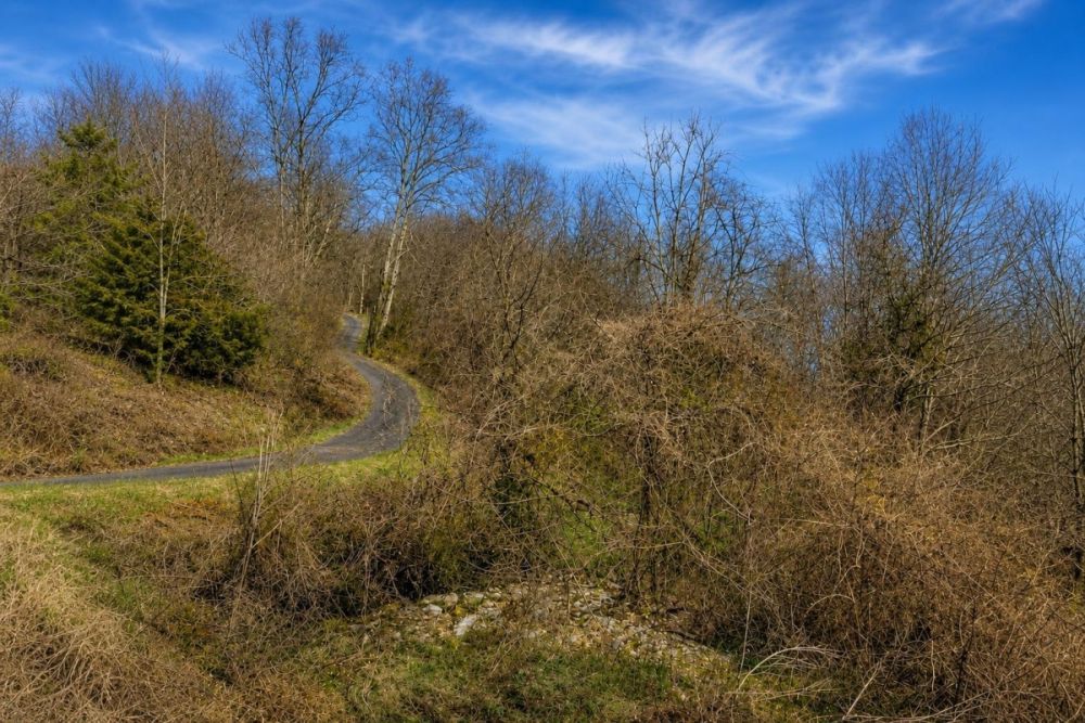 Additional listing image for parcel 36(15)1 in Lee County, Virginia