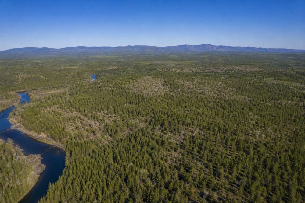 Listing image for Klamath County acreage near Highway 66