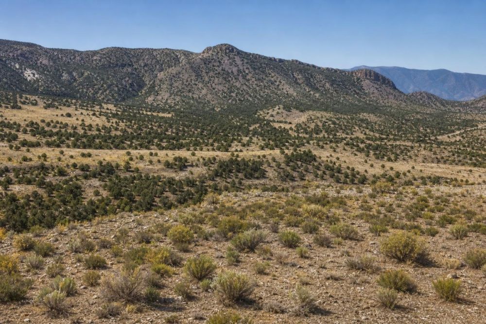 Grouse Creek Utah land listing image for parcel 01-055-0017