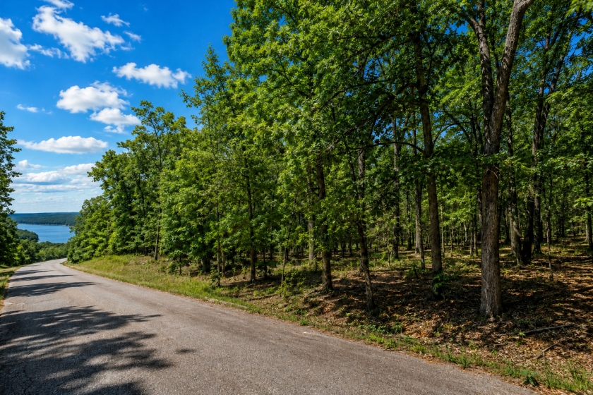 0.45 Acres for Sale in Greers Lake, Arkansas